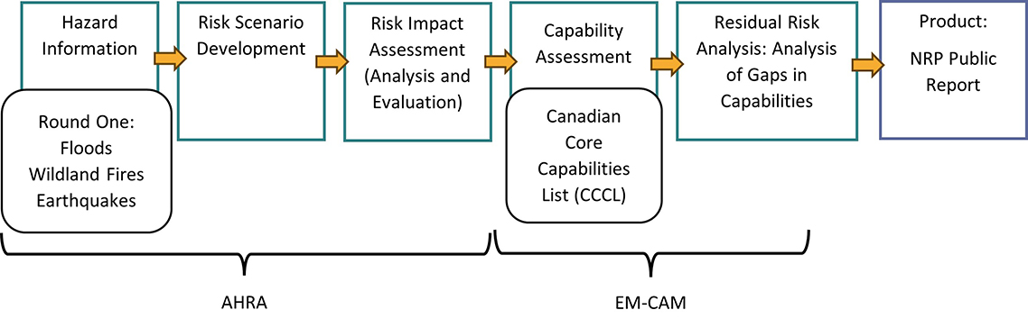 Figure 2: NRP Process