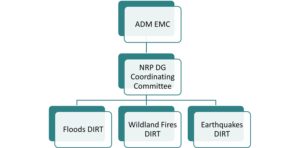 Figure 3: NRP Envisioned Governance Structure