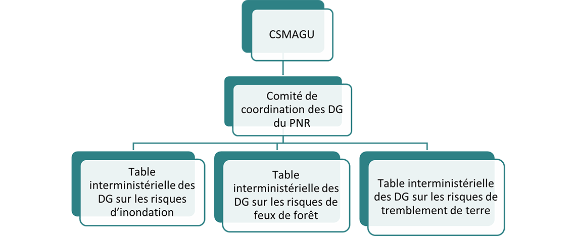 Figure 3 : Structure de gouvernance envisagée du PNR